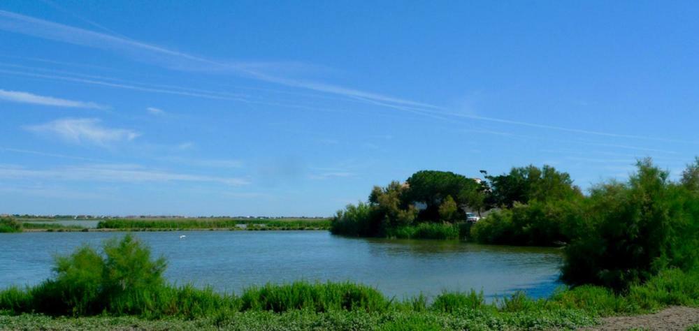 Bed and Breakfast Mas Des Cabidoules Сент-Мари-де-ла-Мер Экстерьер фото